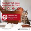 CORE 98 oksekjøtt katt 12 x 85g CORE 98 oksekjøtt katt 12 x 85g
