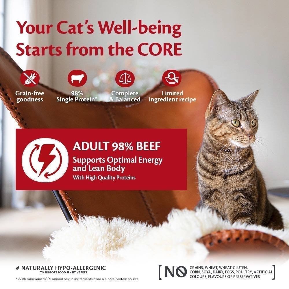 CORE 98 oksekjøtt katt 12 x 85g