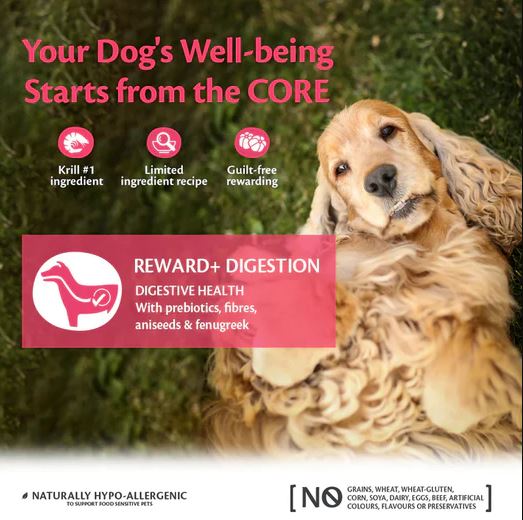 CORE Reward+ Treats Digestion -  8 x 170gram