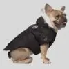 Canada Pooch Winterwilderness Hundejakke Canada Pooch Winterwilderness Hundejakke