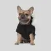 Canada Pooch Winterwilderness Hundejakke Canada Pooch Winterwilderness Hundejakke
