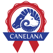Canelana Lana Hundedekken i Ull (Rød)