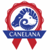 Canelana Cover Vind- / Regndekken Hundedekken Softshell Sort