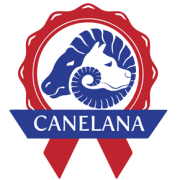 Canelana Cover Vind- / Regndekken Hundedekken Softshell Sort