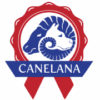 Canelana Ulldekken Thermo Vinterdekken Sort Canelana Ulldekken Thermo Vinterdekken Sort