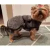 Canelana Ambassadør Ulldekken Hund Canelana Ambassadør Ulldekken Hund