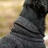 Canelana Ambassadør Ulldekken Hund Canelana Ambassadør Ulldekken Hund