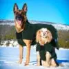 Canelana Selva 100% Ull Dekken Hund Canelana Selva 100% Ull Dekken Hund