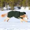 Canelana Selva 100% Ull Dekken Hund Canelana Selva 100% Ull Dekken Hund