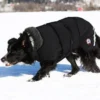 Canelana Ulldekken Thermo Vinterdekken Hund Grønn Canelana Ulldekken Thermo Vinterdekken Hund Grønn