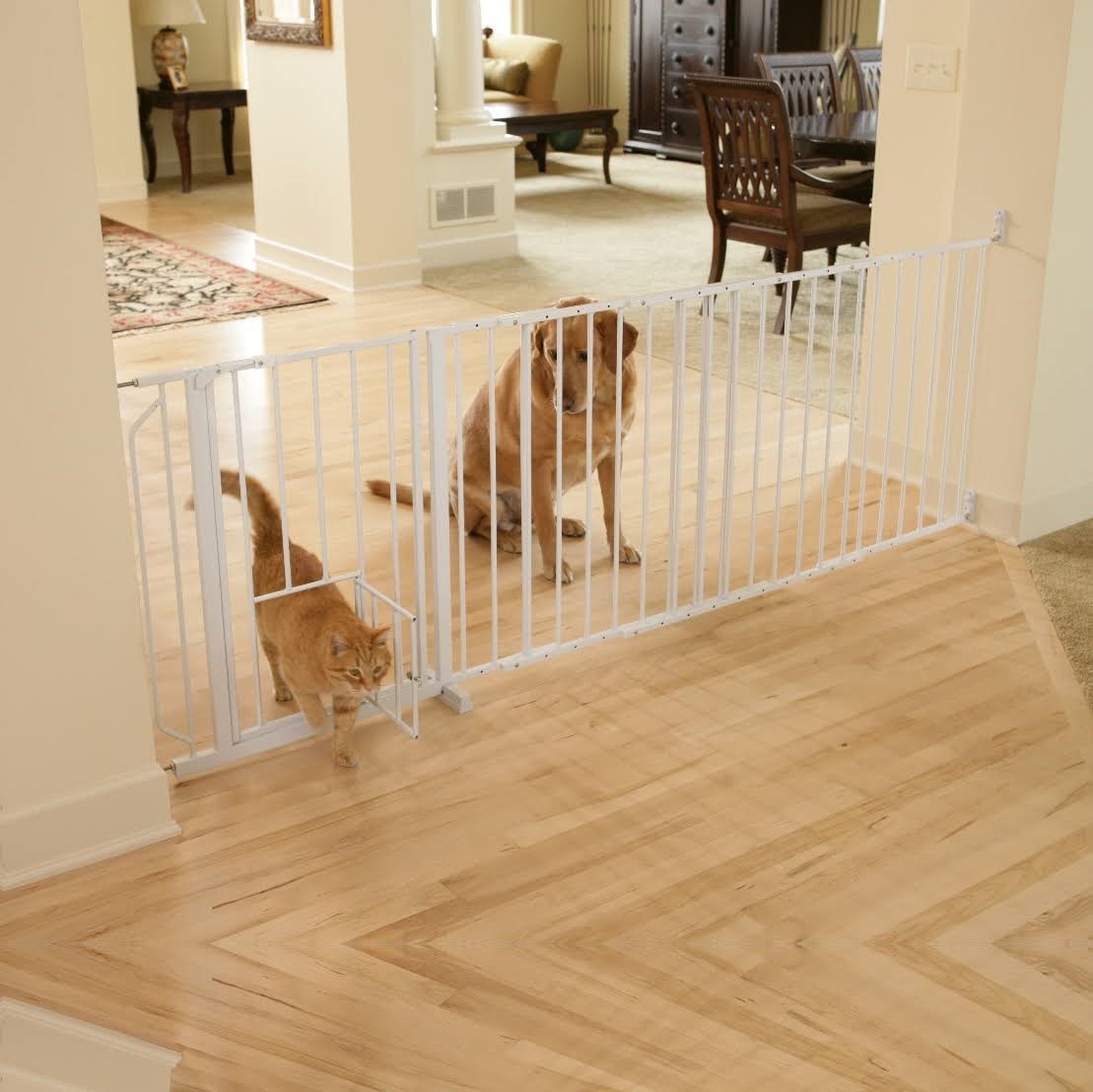 Carlson grind maxi walk-thru med kattedør, 76x94-152cm