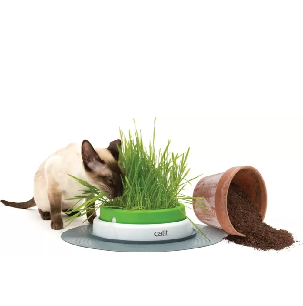 Catit Senses Grass Planter Kattegress-stasjon