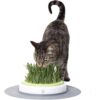 Catit Senses Grass Planter Kattegress-stasjon