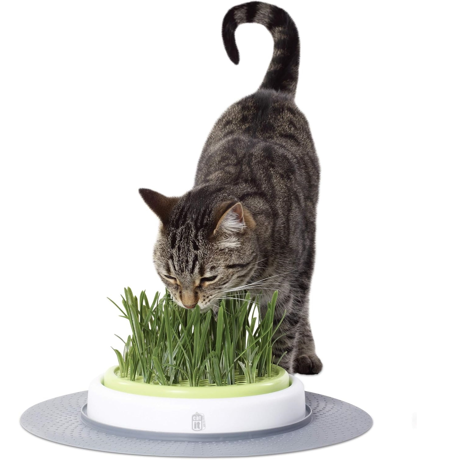 Catit Senses Grass Planter Kattegress-stasjon