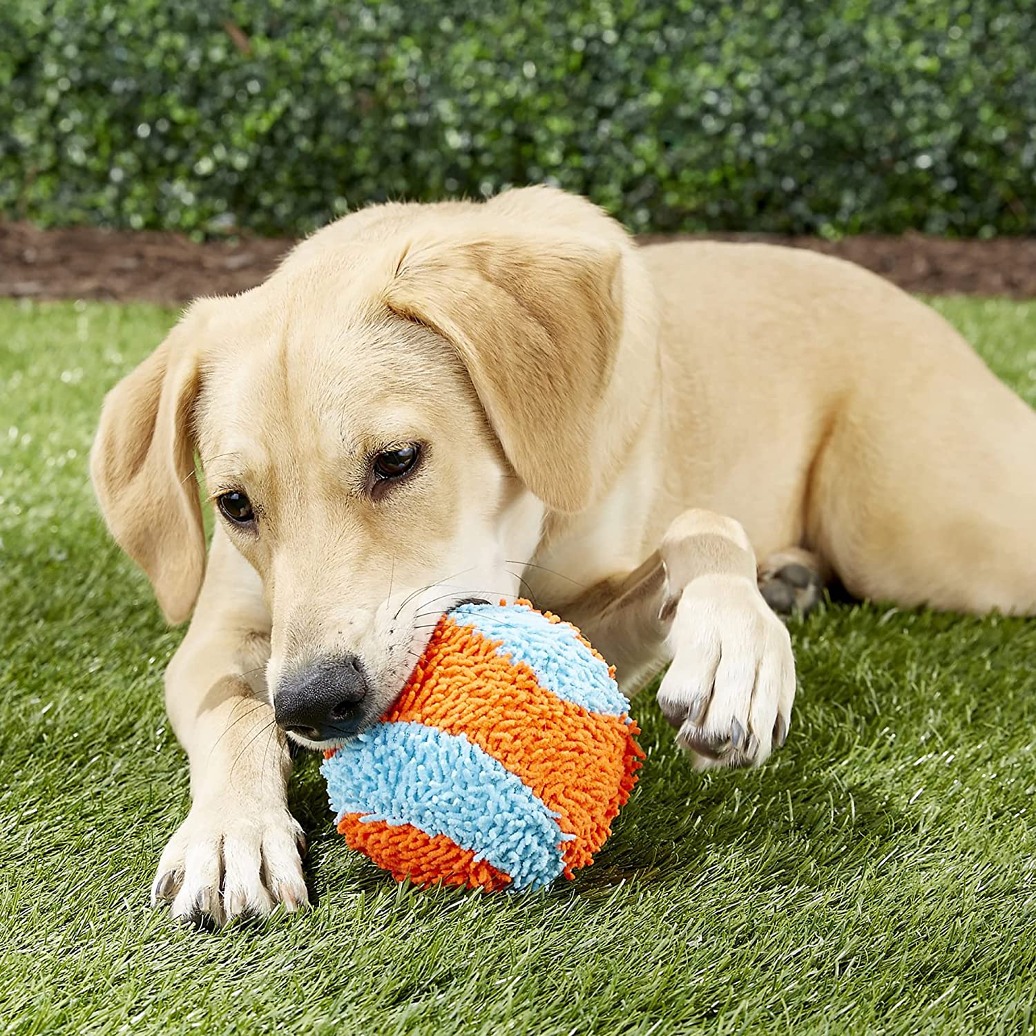 Chuckit! Indoor Ball Plysj ball Chuckit! Indoor Ball Plysj ball