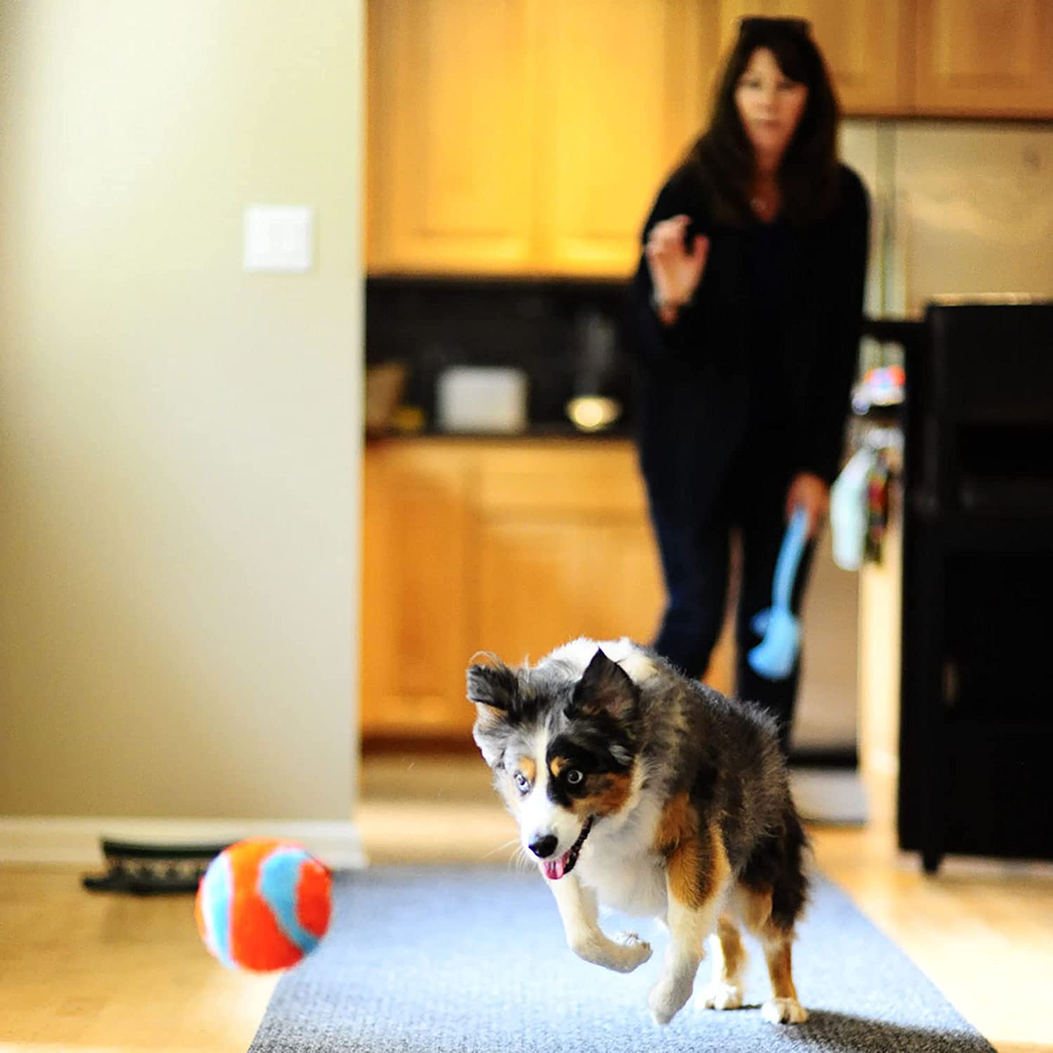 Chuckit! Indoor Ball Plysj ball Chuckit! Indoor Ball Plysj ball