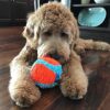 Chuckit! Indoor Ball Plysj ball Chuckit! Indoor Ball Plysj ball