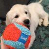 Chuckit! Indoor Ball Plysj ball Chuckit! Indoor Ball Plysj ball