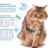 Churu Hairball Control Chicken 4st Churu Hairball Control Chicken 4st