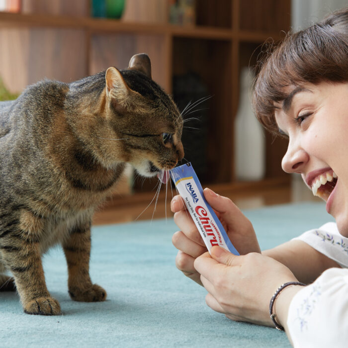 Ciao Churu katt Tunfisk med reke smak 4stk