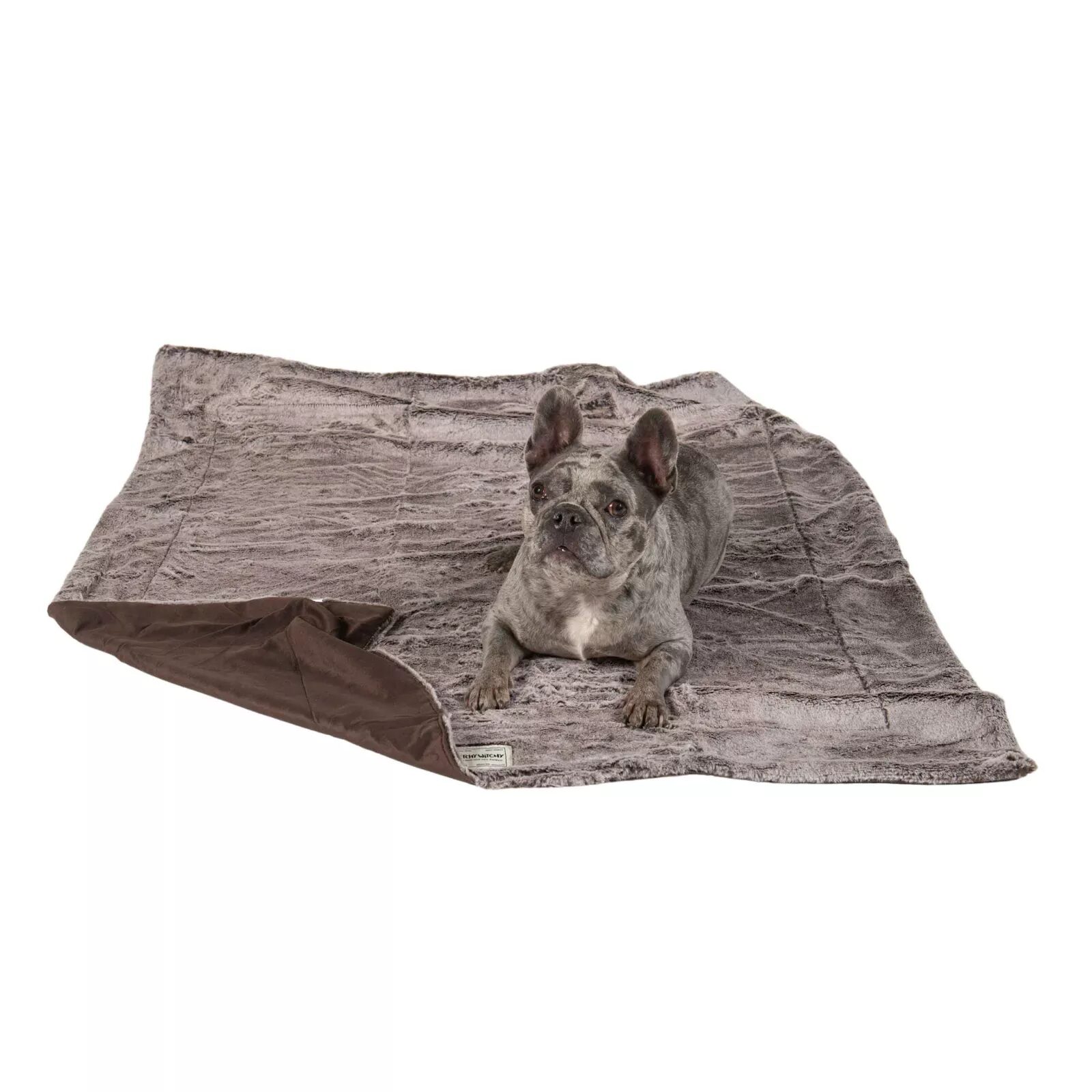 Dgs Ichy Witchy Teppe