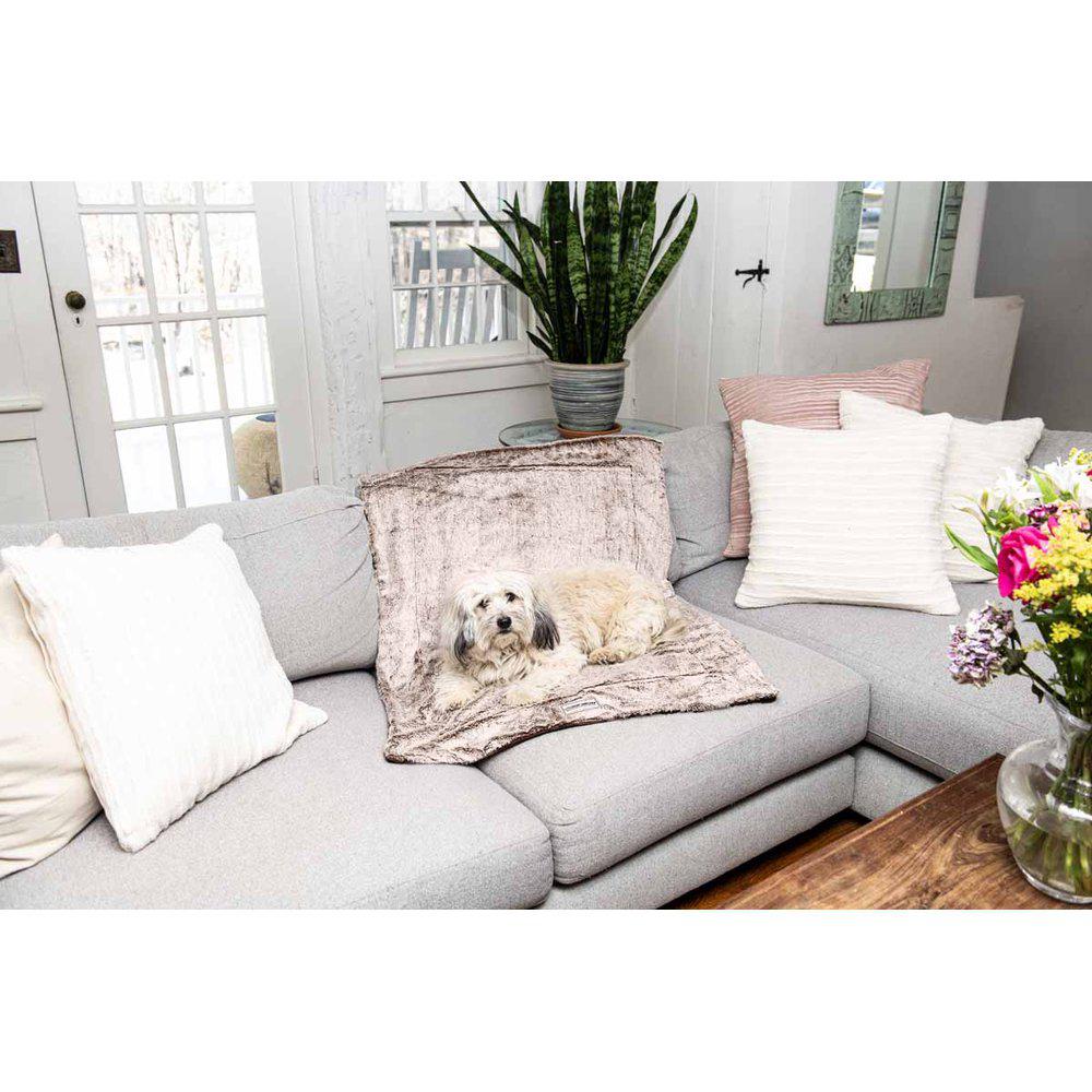 Dgs Ichy Witchy Teppe