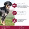 Eukanuba Special Care Adult All Breeds Mono-Protein Laks Eukanuba Special Care Adult All Breeds Mono-Protein Laks