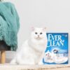 Ever Clean Extra Strong Clumping Unscented Kattesand 10 L