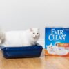 Ever Clean Fast Acting Kattesand 10 L Ever Clean Fast Acting Kattesand 10 L
