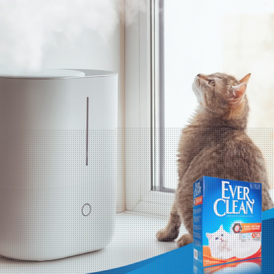 Ever Clean Fast Acting Kattesand 10 L Ever Clean Fast Acting Kattesand 10 L