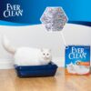 Ever Clean Fast Acting Kattesand 10 L Ever Clean Fast Acting Kattesand 10 L