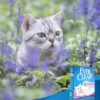 Ever Clean Lavender Kattesand 10 L
