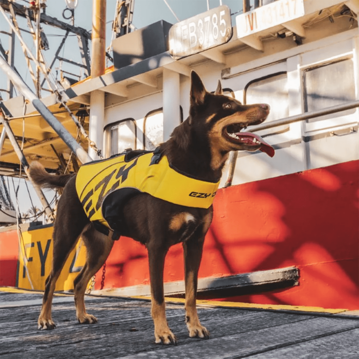 Ezydog Flytevest Boost til hund Ezydog Flytevest Boost til hund