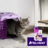 Feliway Classic Spray Feliway Classic Spray