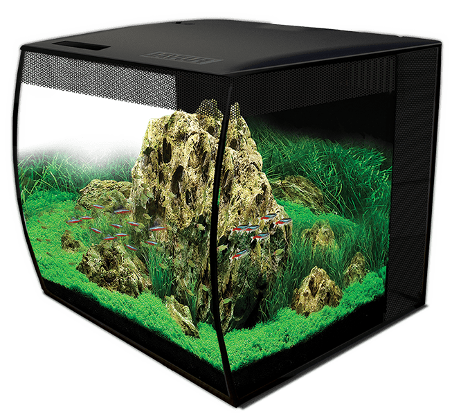Fluval Flex Led Akvarium