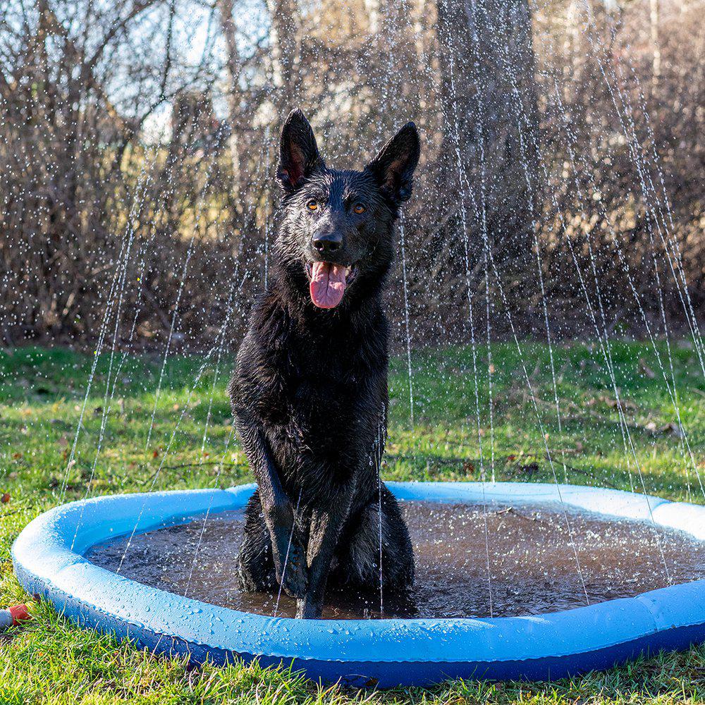 Ozami Dog Splash Pool Fontenematte Sprinklerbasseng Hund ø 150 cm