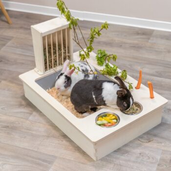 Foringsstasjon til gnagere og smu00e5dyr