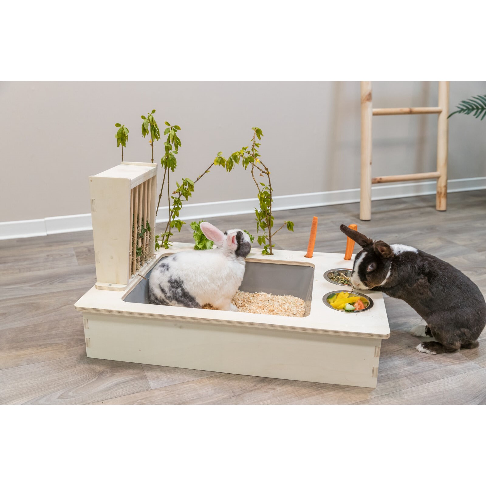 Foringsstasjon til gnagere og smu00e5dyr