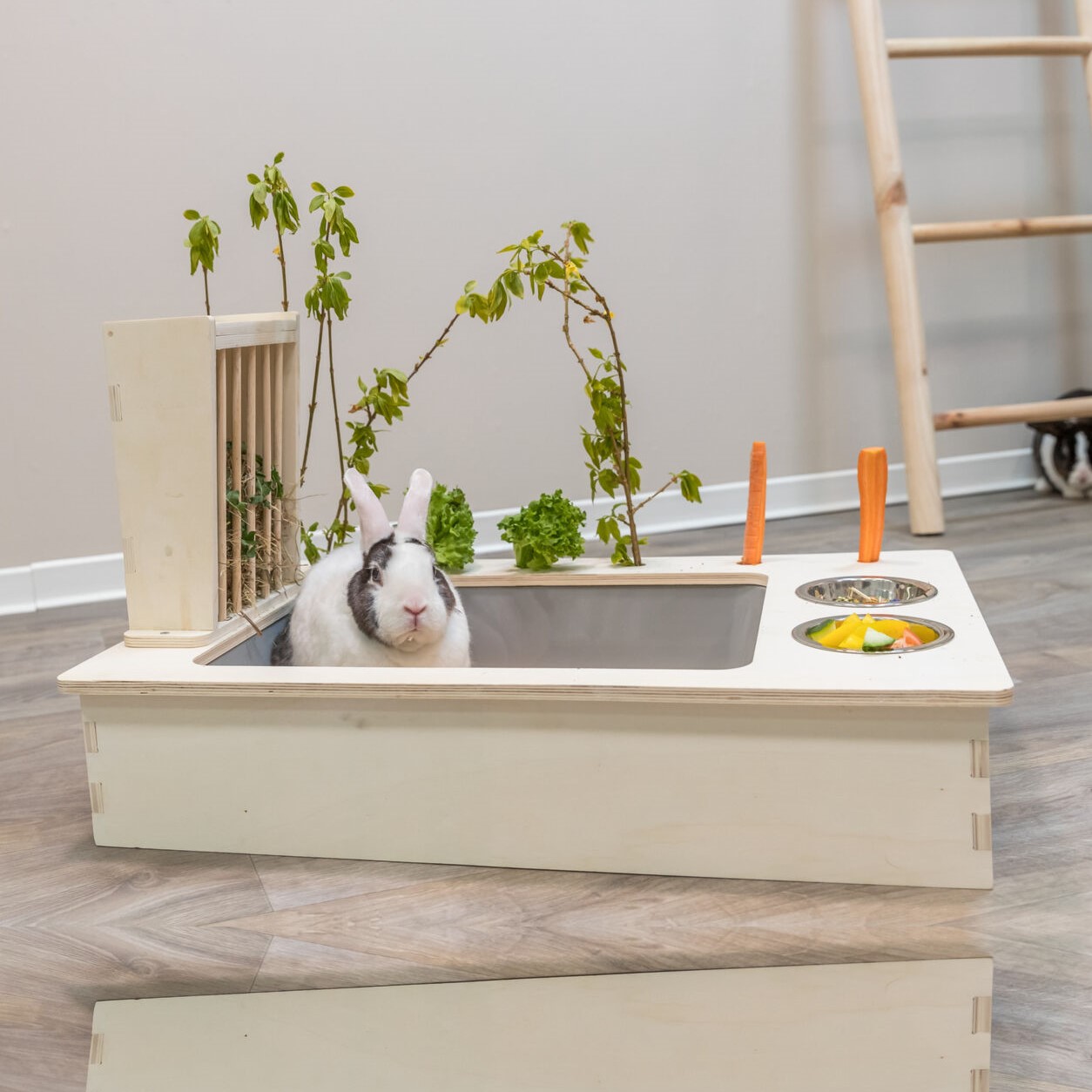 Foringsstasjon til gnagere og smu00e5dyr