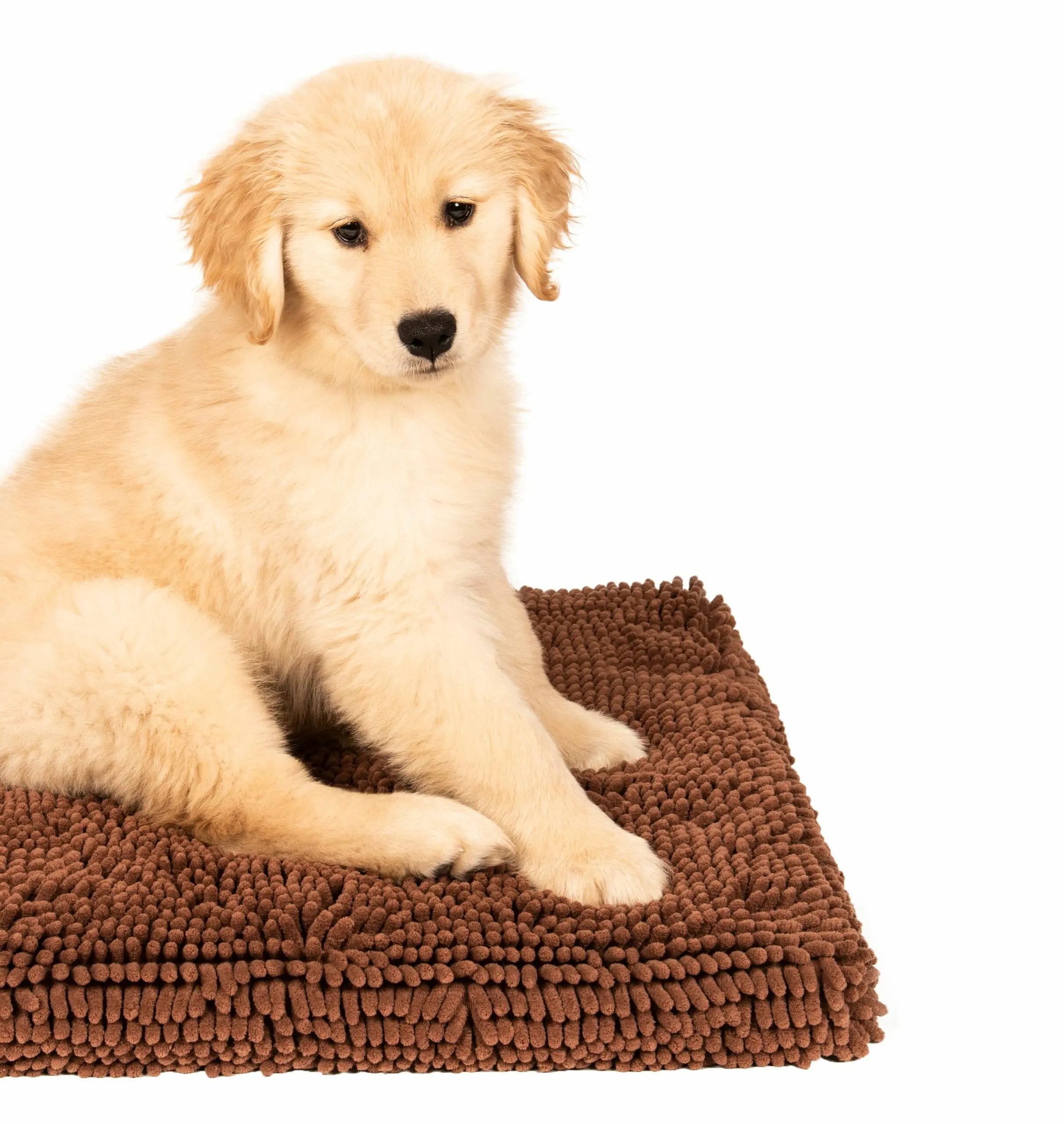 DGS Dirty Dog Cushion Pad Hundemadrass DGS Dirty Dog Cushion Pad Hundemadrass