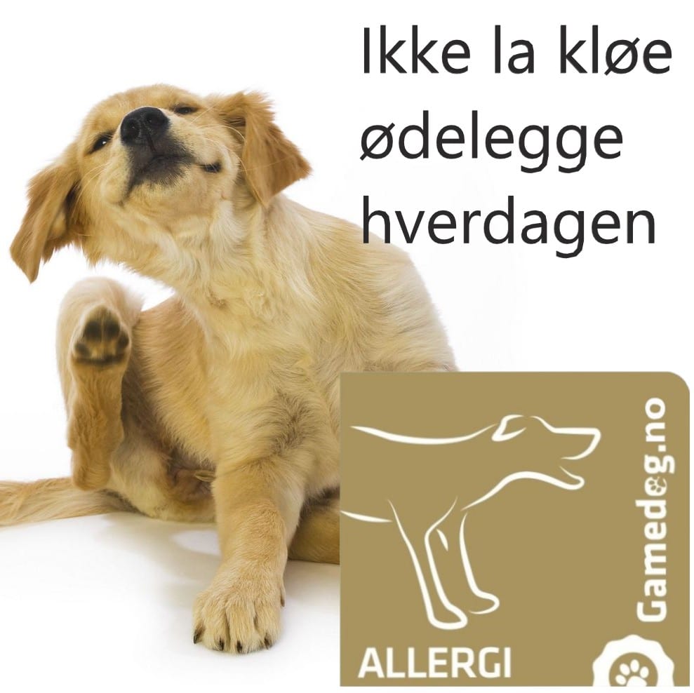 Gamedog Allergi
