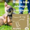 Gamedog Allergi