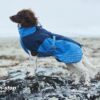 Non-Stop Dogwear Glacier Jacket Hundedekken Vinter