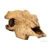 Grotte Buffel Kranium Exoterra 23cm Grotte Buffel Kranium Exoterra 23cm