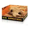 Grotte Buffel Kranium Exoterra 23cm Grotte Buffel Kranium Exoterra 23cm