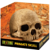 Grotte hodeskalle Exoterra 15x15x15cm, Dødninghode