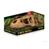 Grotte T Rex Kranium Exoterra Grotte T Rex Kranium Exoterra