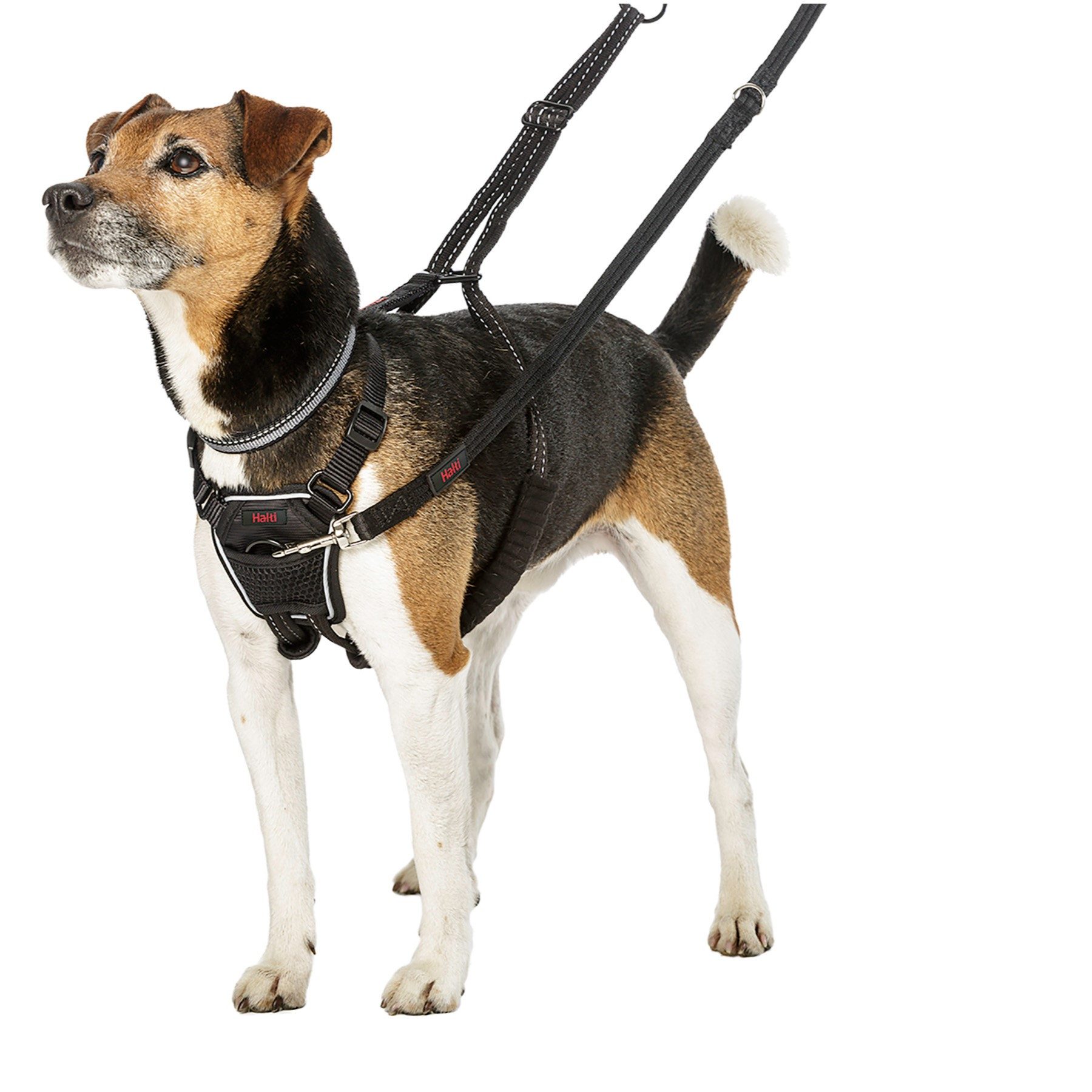 Halti No Pull - Antitrekksele