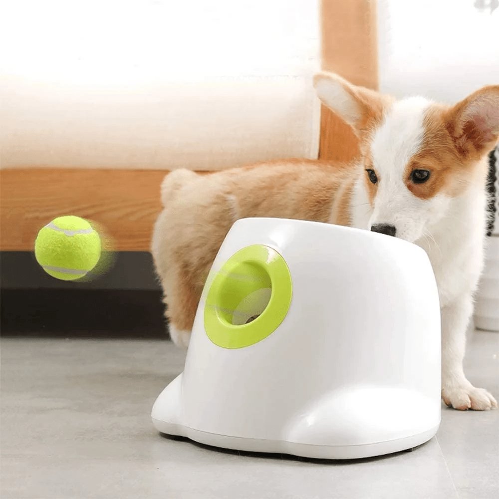 Hyper Fetch ballkaster