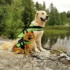 Rukka Flytevest Redningsvest Hund